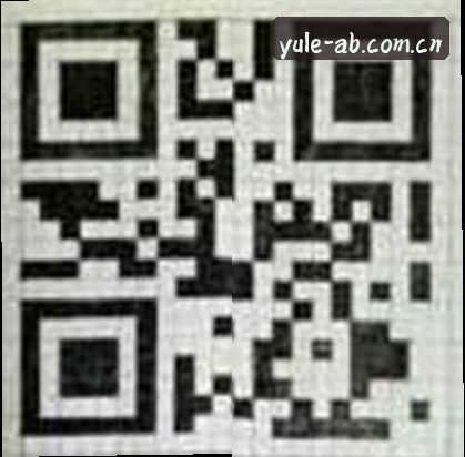 王磊